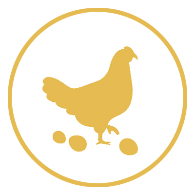 ɽ�|�����r(n��ng)���Ƽ��ɷ����޹�˾�I(y��)��(w��)�I(l��ng)��U(ku��)�� 